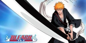 MANGA: Bleach Series […]