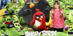 The Angry Birds […]