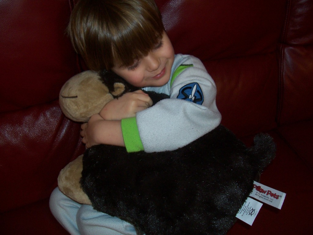 the original pillow pets