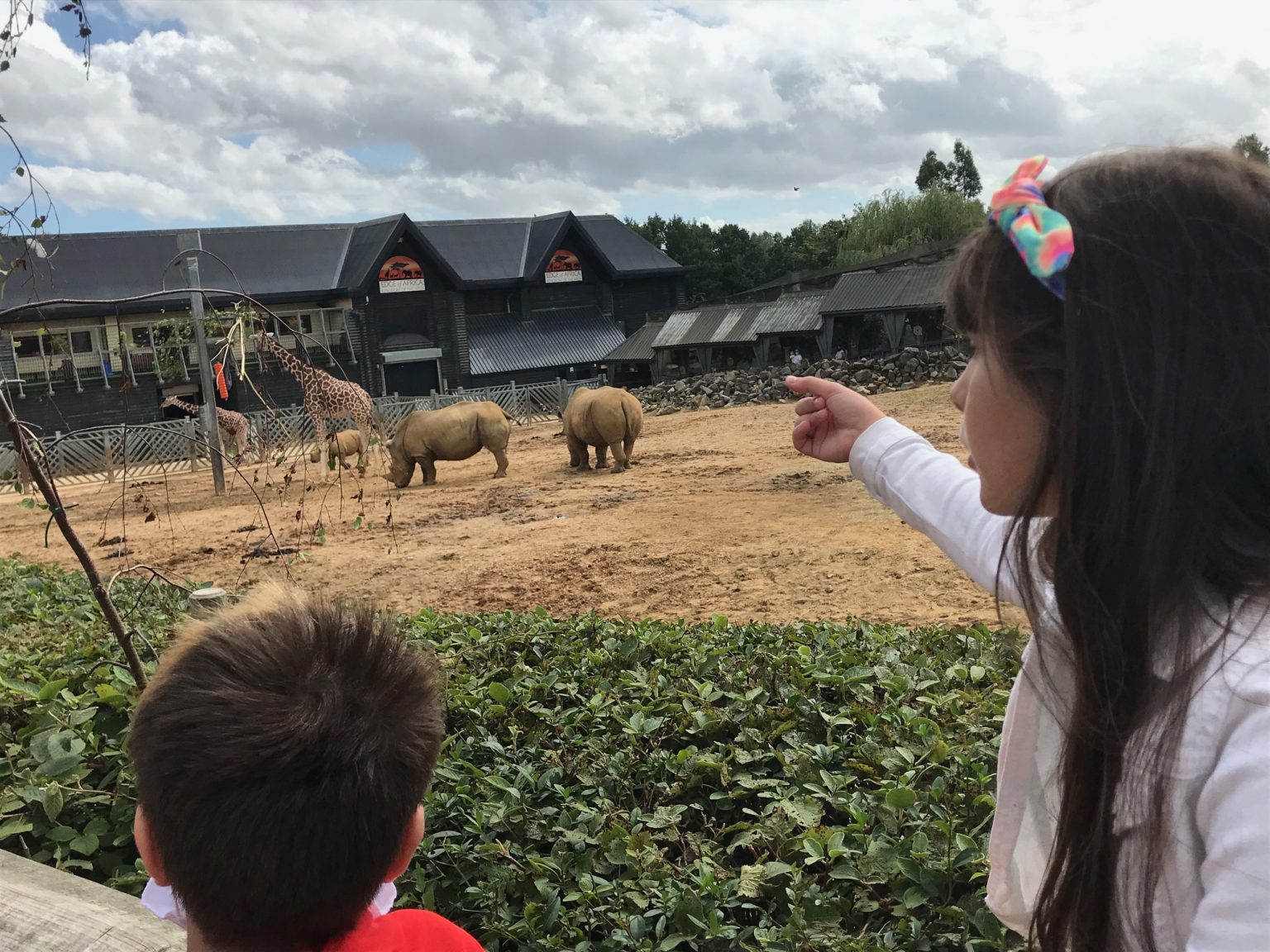 adopt animal at colchester zoo